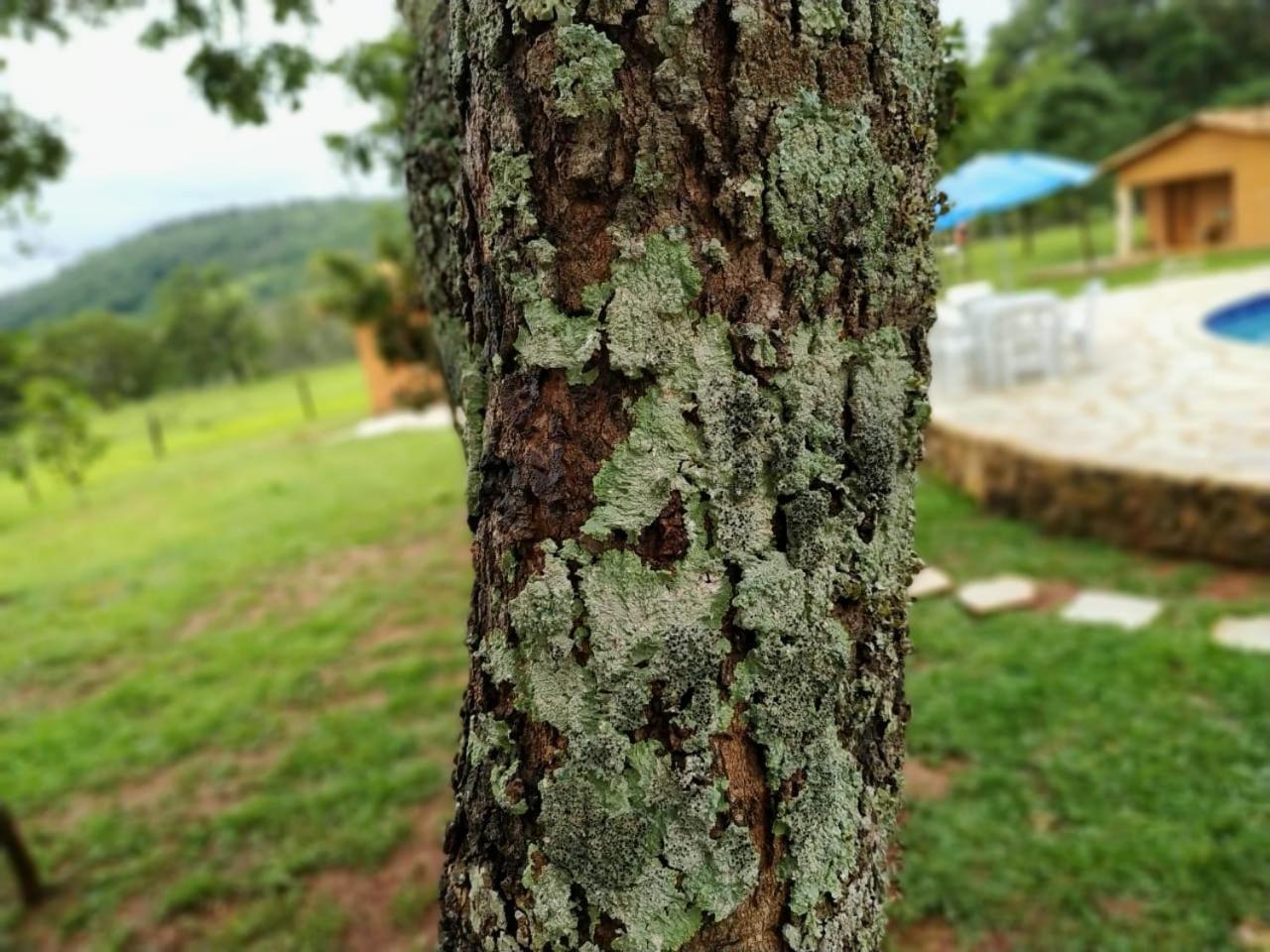 Recanto Do Baru Pirenopolis Luaran gambar