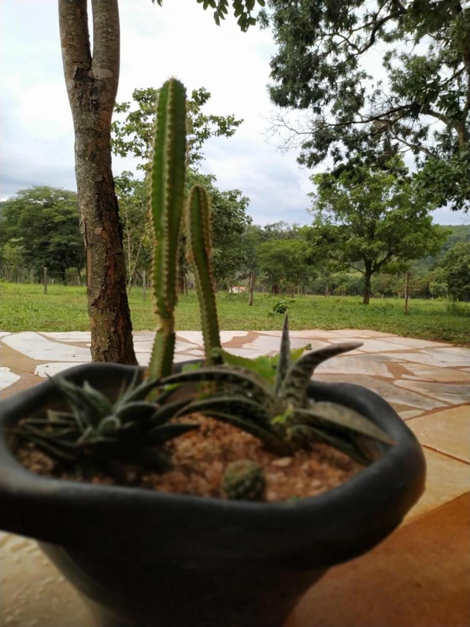 Recanto Do Baru Pirenopolis Luaran gambar